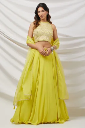 30Z314-RO Lime Green Georgette Lehenga With Gotta Pati Work